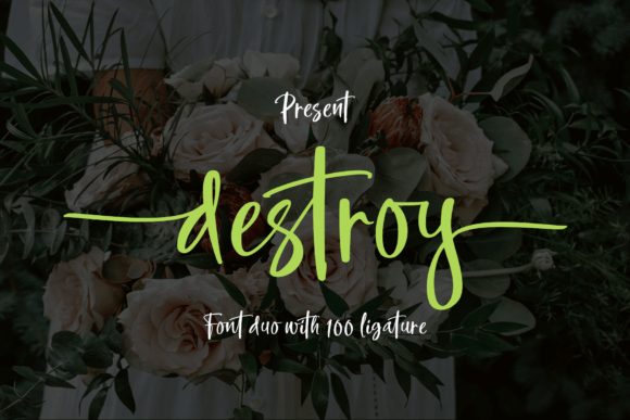 Destroy: A Modern Brush Script Font for Thoughtful Editorial Design